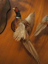 Mounted quail wall décor