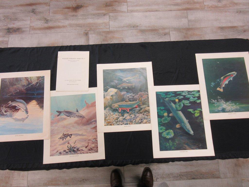 Lot of 5 Wildlife Fish Portraits by Bob Hines