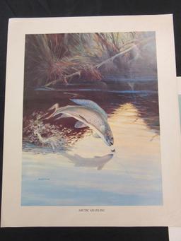 Lot of 5 Wildlife Fish Portraits by Bob Hines