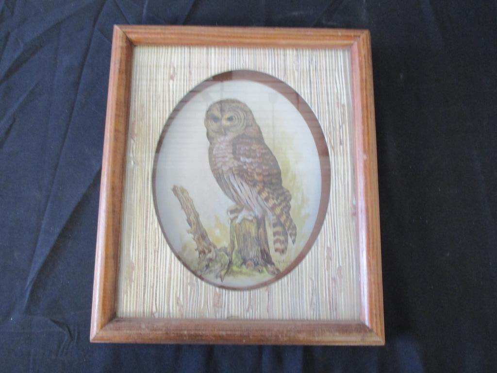 Vintage Wise Old Owl Print By E. Rambow 13" x 12"