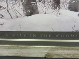 A Walk In the Woods by Stephen Lyman Picture