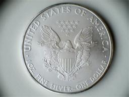 2010 1oz. Bullion American Silver Eagle Coin .999