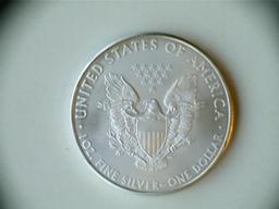 2010 1oz .999 Silver American Eagle Dollar