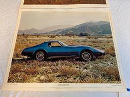 1975 and 1977 CORVETTE 20" x 16 3/4" Poster by Princeton 1977