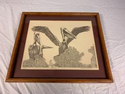 Chrishaw Lombardi PELICANS Signed number framed Print