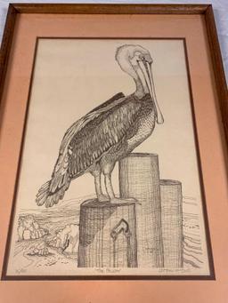 Chrishaw Lombardi PELICANS Signed number framed Print