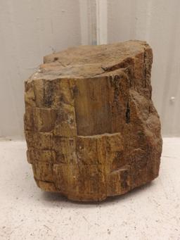 Natural Petrified Wood Log 15 LBs