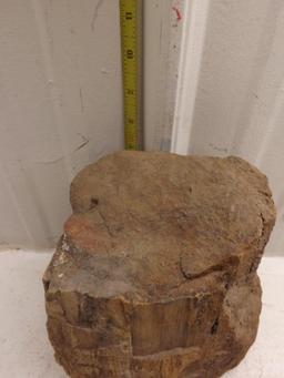 Natural Petrified Wood Log 15 LBs