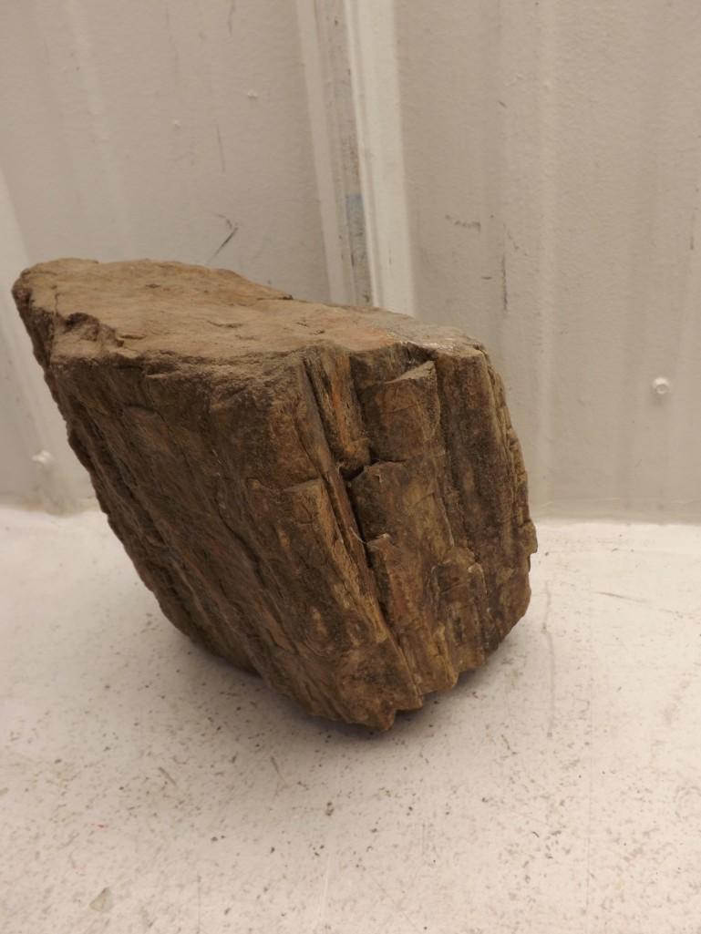 Natural Petrified Wood Log 15 LBs