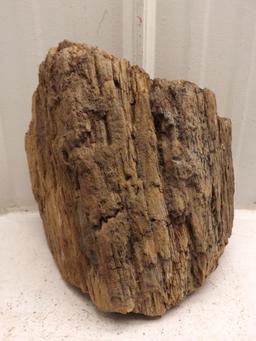 Natural Petrified Wood Log 30 POUNDS