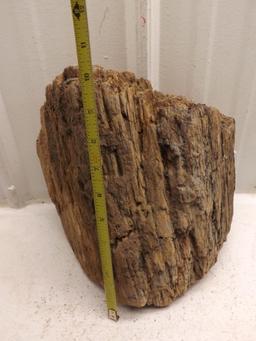 Natural Petrified Wood Log 30 POUNDS