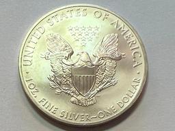 2013 Silver Eagle 1oz Fine Silver