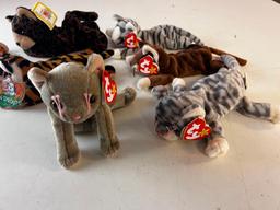 TY Beanie Babies Lot of 7 CATS