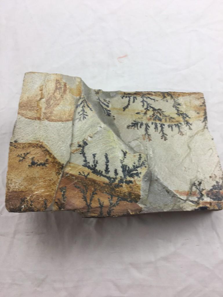 Dendritic Utah Wonder Stone