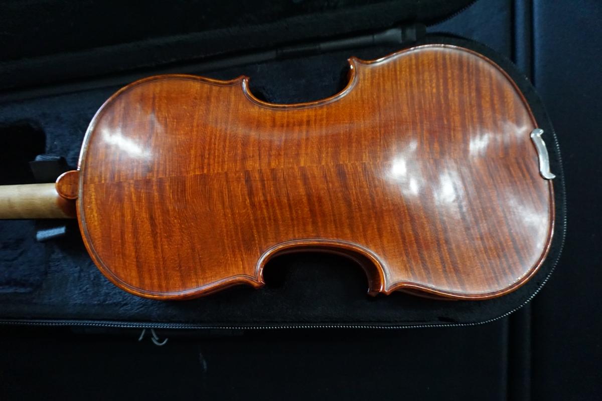 Musaica Imports 2013 4/4 Academia Violin, SN #AW2734, Hard Sided Case.