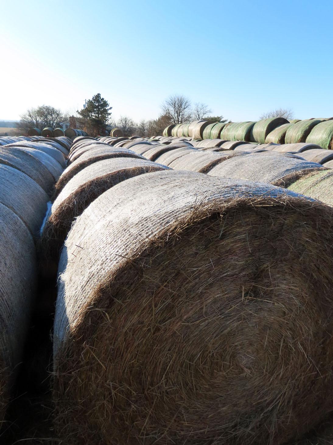 (23) 2019 Grass Hay Round Bales (Approx. 2,000 lbs. per Bale).