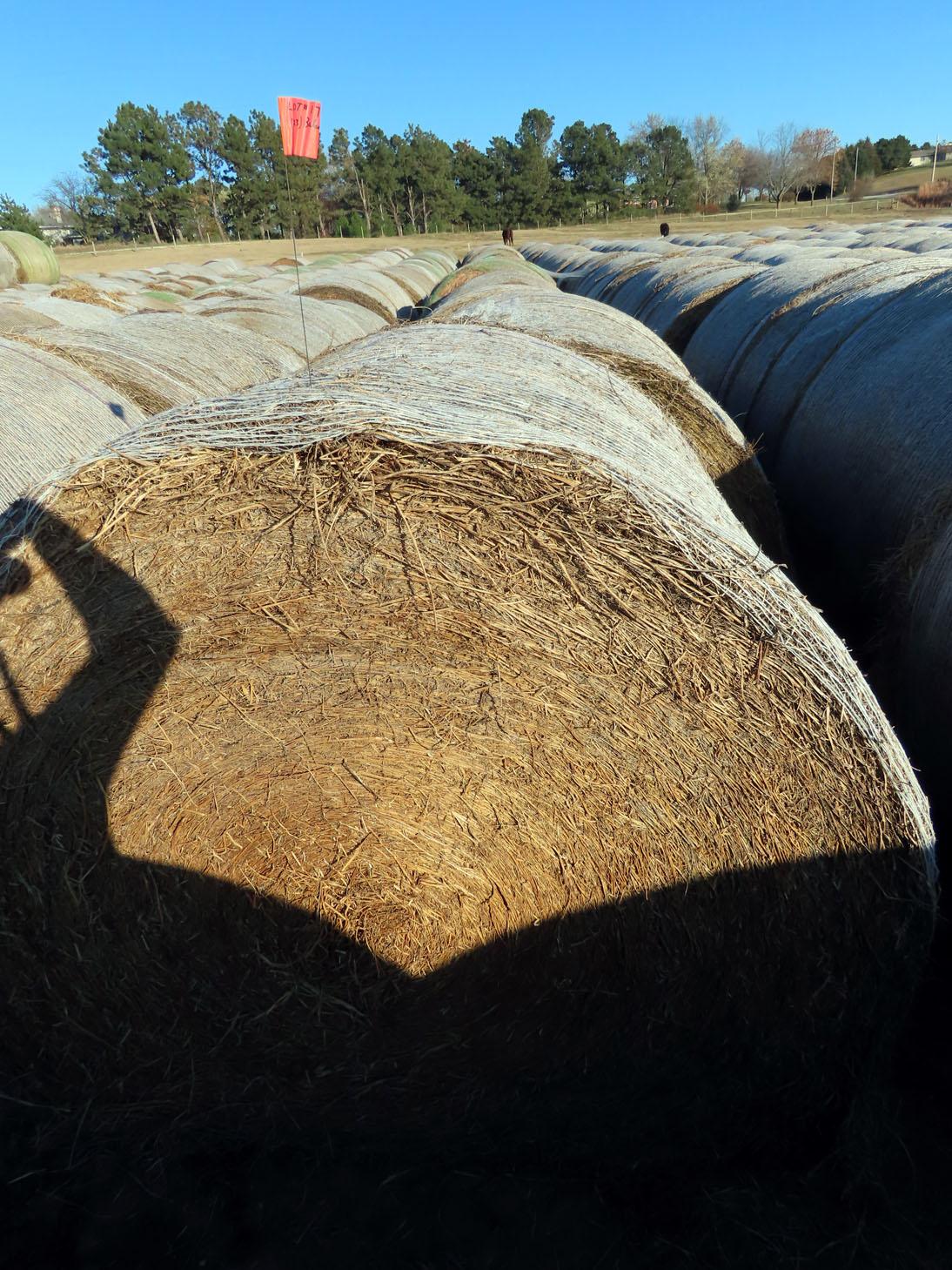 (23) 2019 Alfalfa  Hay Round Bales (Approx. 2,000 lbs. per Bale).