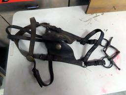 Antique Leather Horse Bridle with Binders