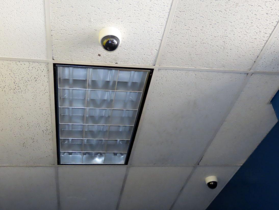 (18) 4' Overhead Flush Mount Fluorescent Lights & Security Domes.