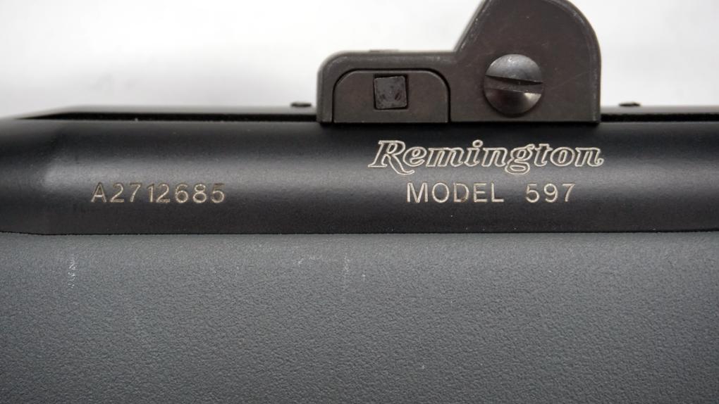 Remington 597 Semi-Auto Rifle