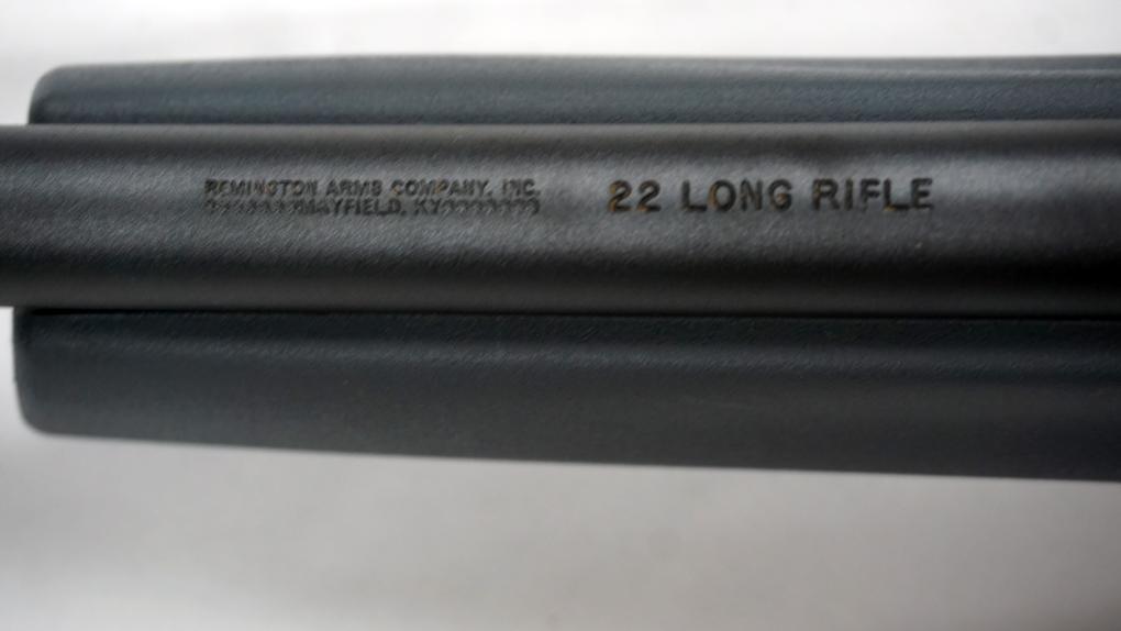 Remington 597 Semi-Auto Rifle