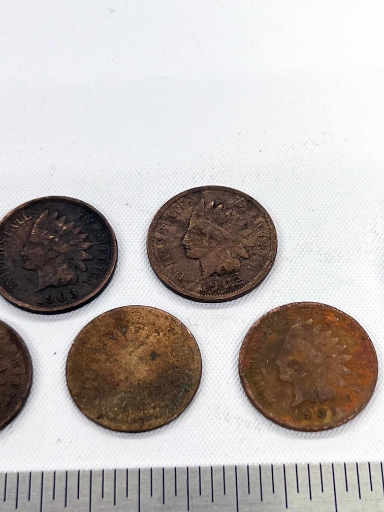 1900's Liberty Head Pennies