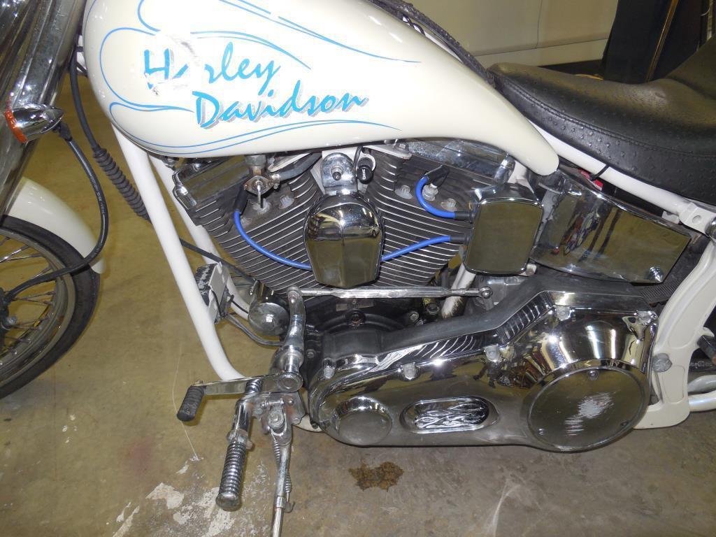 2001 Thunder Mountain Custom Harley Davidson