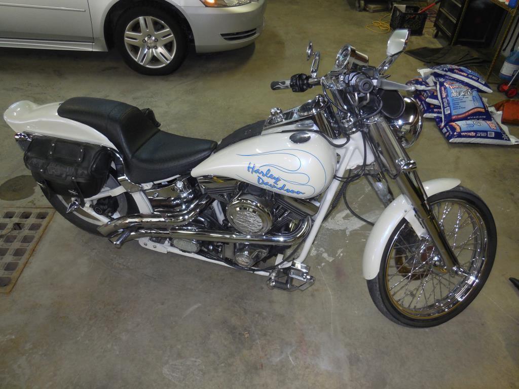 2001 Thunder Mountain Custom Harley Davidson