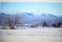 (3) Asst. Robert Lyons' Matte-Framed Photographs