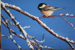 (3) Birds In Winter Photographs on Foamboard