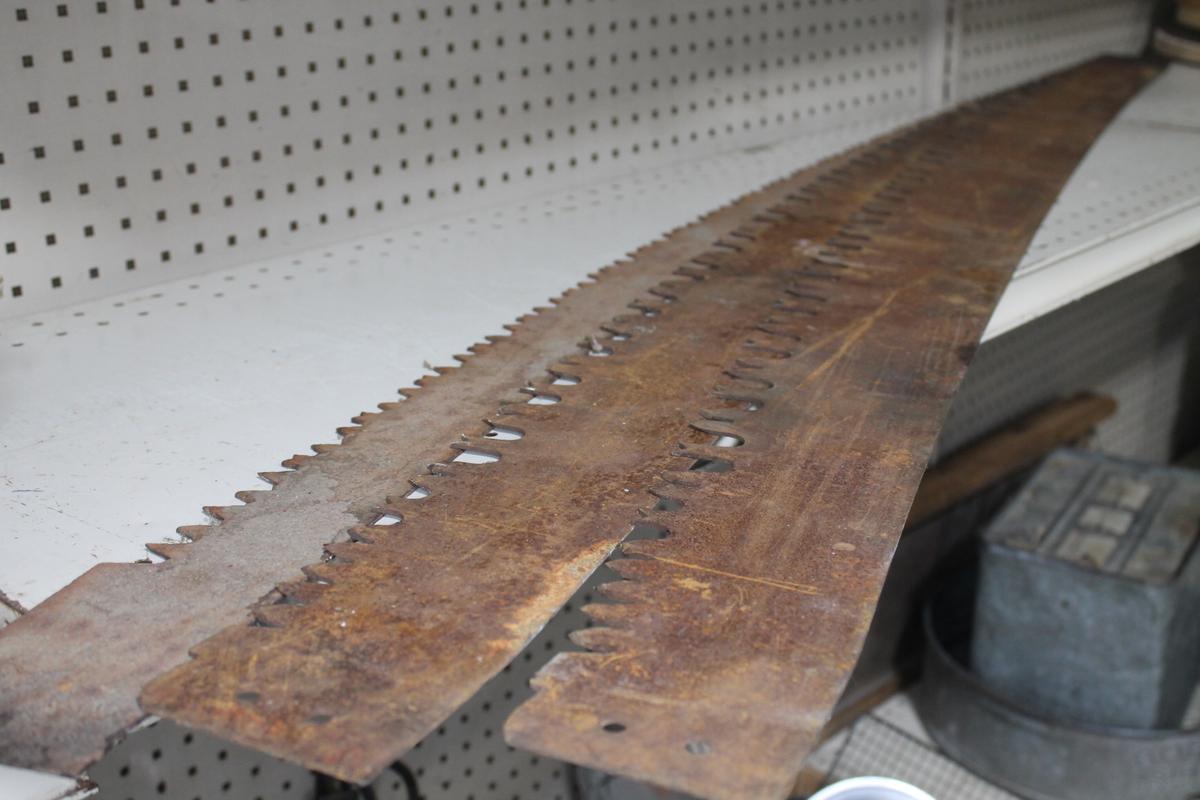 (3) Vintage Crosscut Saw Blades