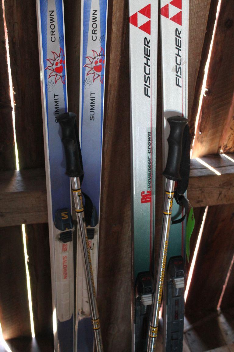 (2) Pairs of Fischer XC Skis w/ Salomon Boots