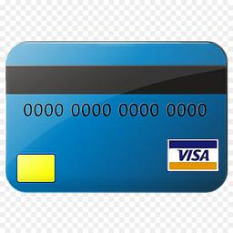 VALID CREDIT CARD REQUIRED FOR BIDDING