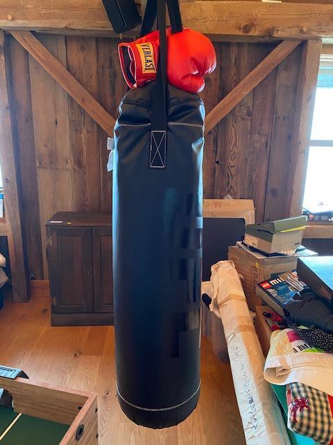 UFC Heavy Bag & Pair of small Everlast Gloves