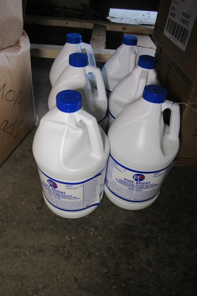 (6) 1 Gallon Containers of Bleach