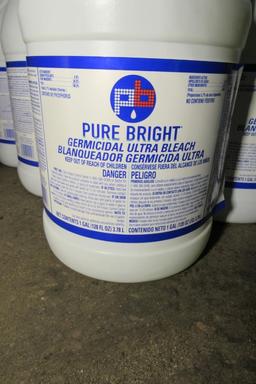 (6) 1 Gallon Containers of Bleach