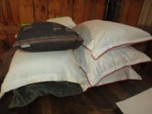 (6) Large Pillows