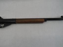 Model 99 Champion BB Gun