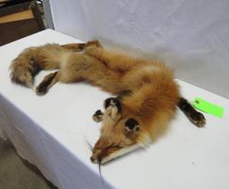 Red Fox Pelt