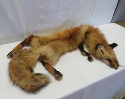 Red Fox Pelt