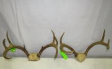 (2) Sets of Deer Antlers