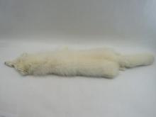 Arctic Fox Pelt