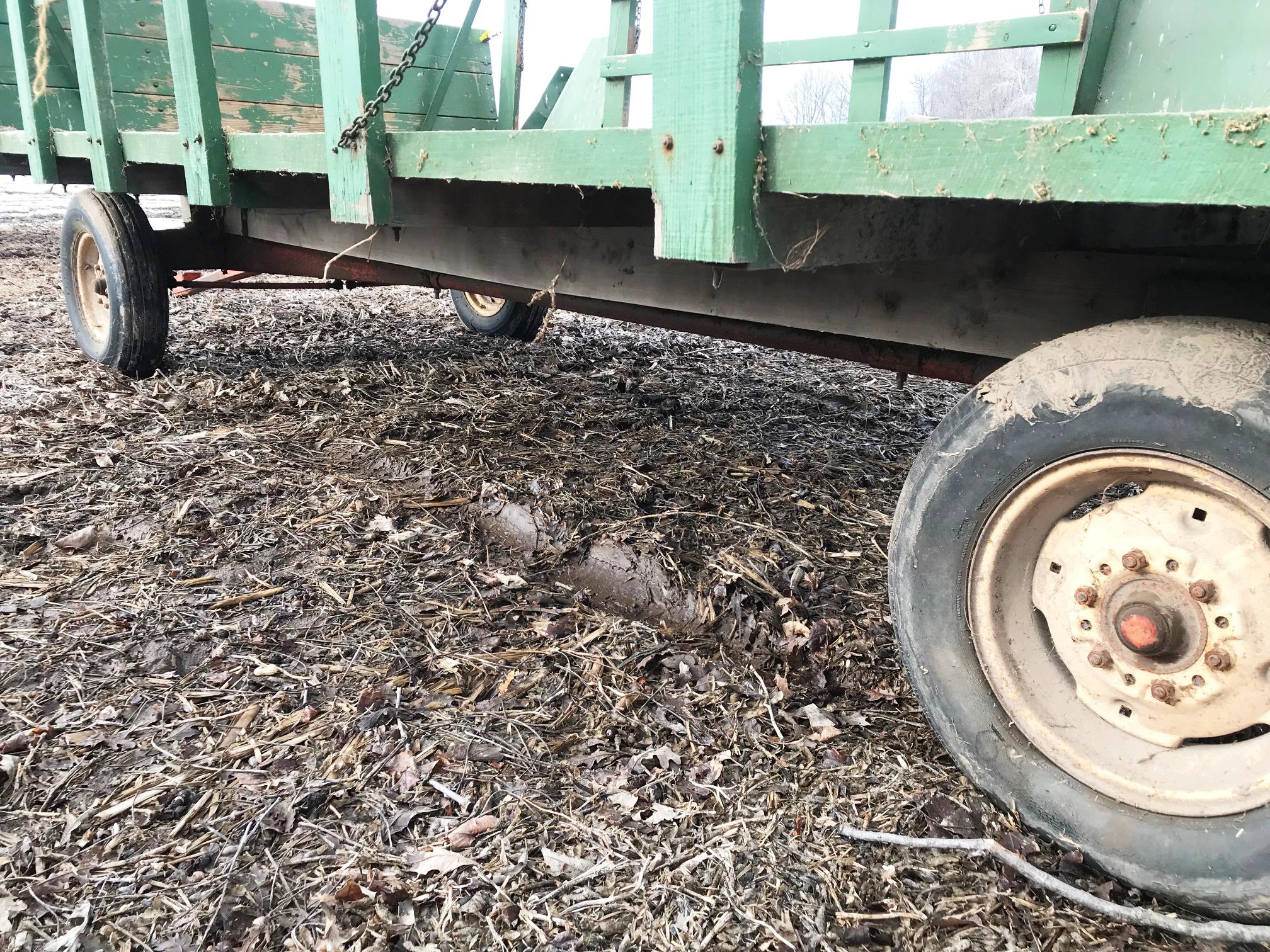 18' Hay Wagon