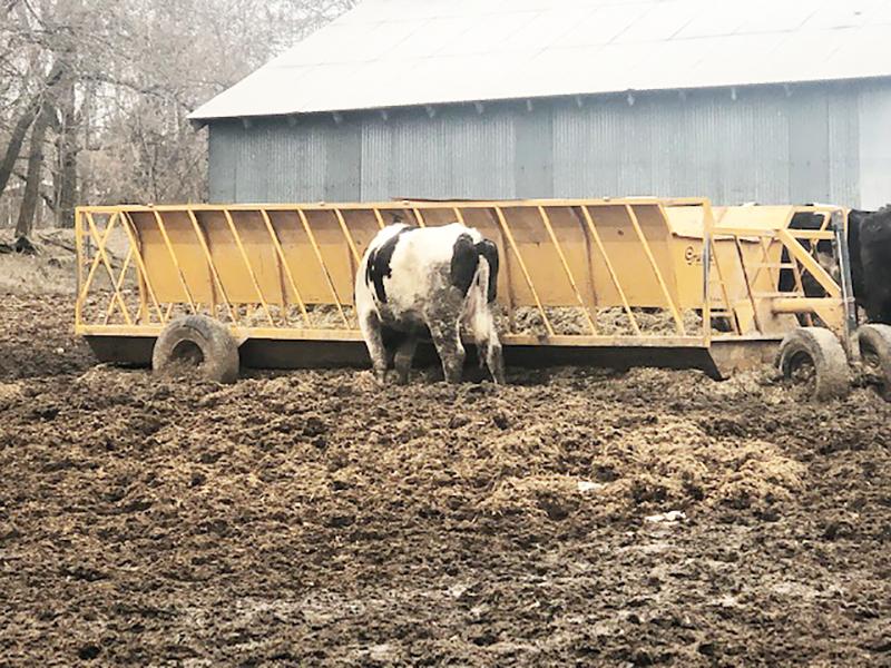 Gruett's Feeder Wagon