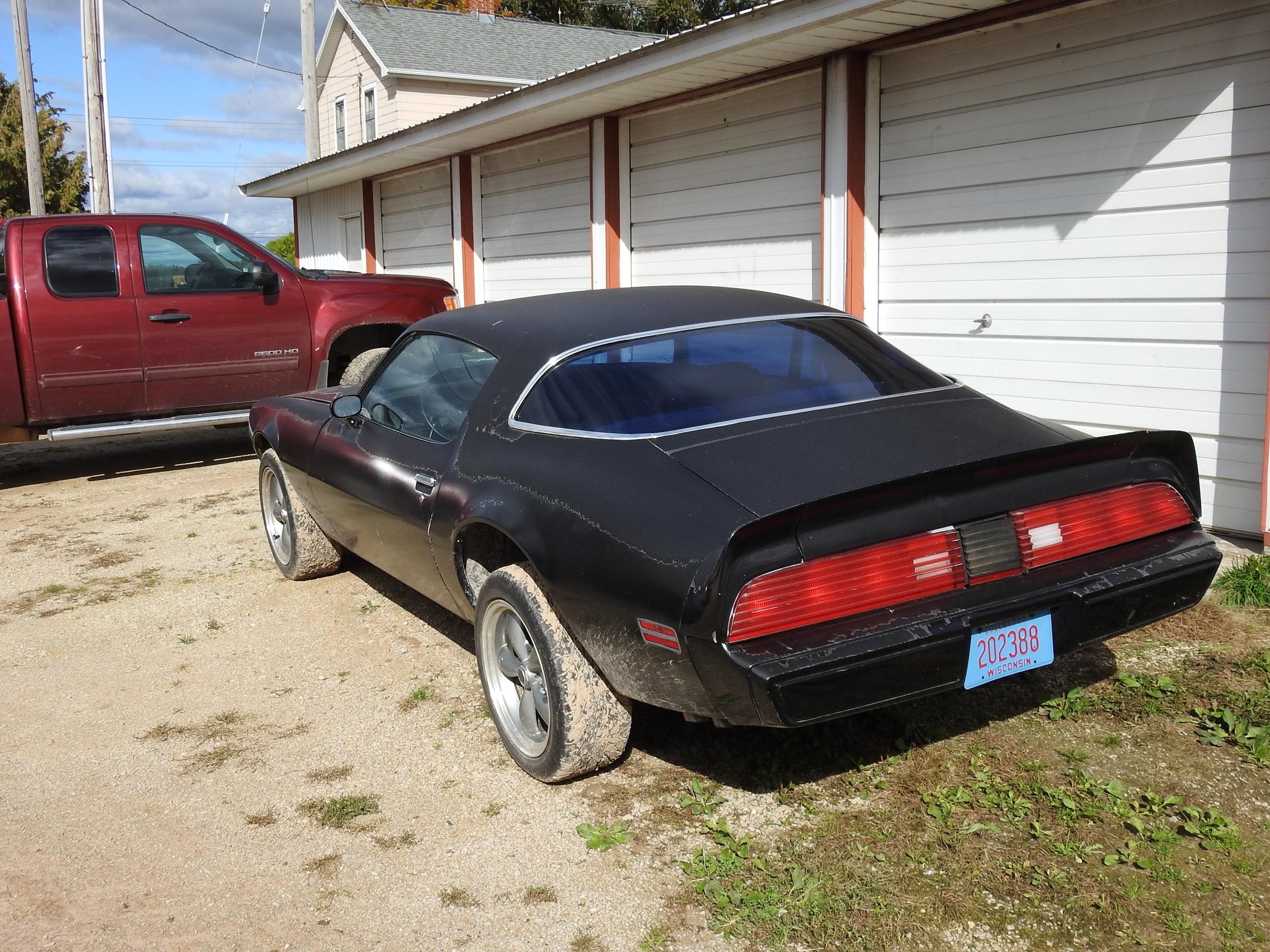 '81 Pontiac Firebird Trans-Am