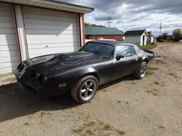 '81 Pontiac Firebird Trans-Am