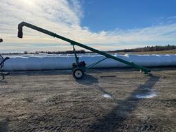 Liquid Manure Auger