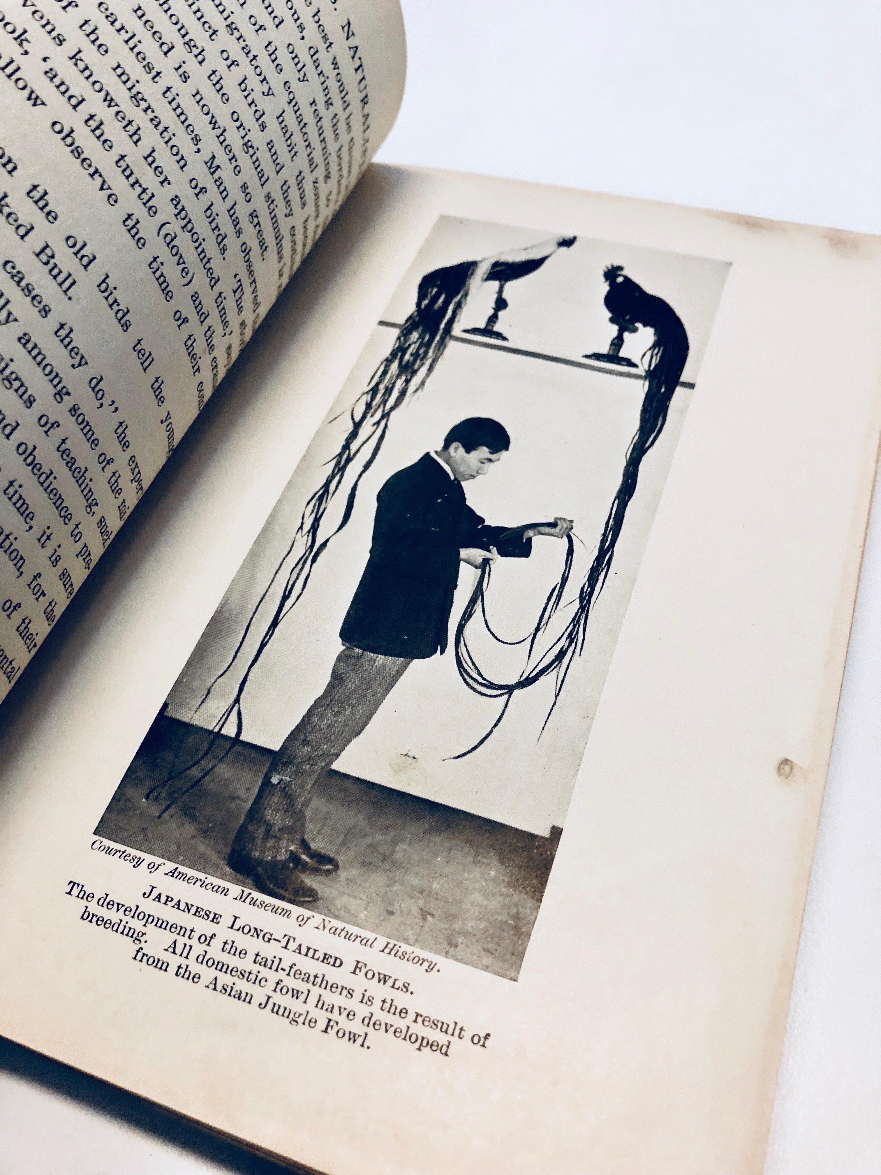 The Boy with the U.S. NATURALISTS (c.1900) by Francis Rolt-Wheeler with Photographs