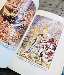 The ARTHUR RACKHAM Fairy Book with Classic Illustrations