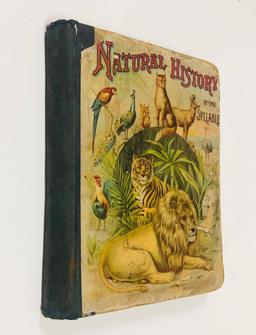 Natural History in One Syllable (1895) ANTIQUE CHILDREN'S BOOK